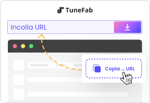 ① Incolla il link della musica