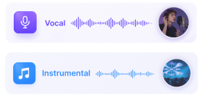 AI Vocal Remover for Any Song