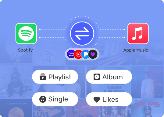 Includes Playlist Transfer Tool