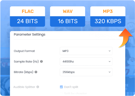 TuneFab High-Quality Output