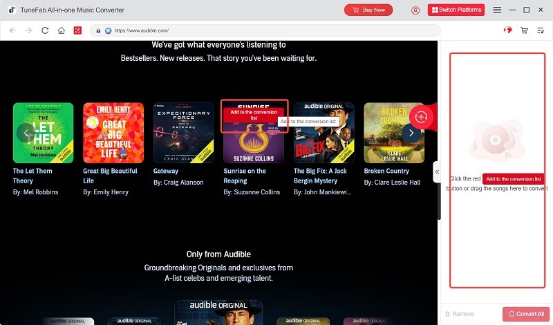 Añadir audiolibro para descargar