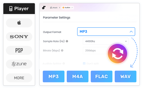 Multiple Output Formats Available