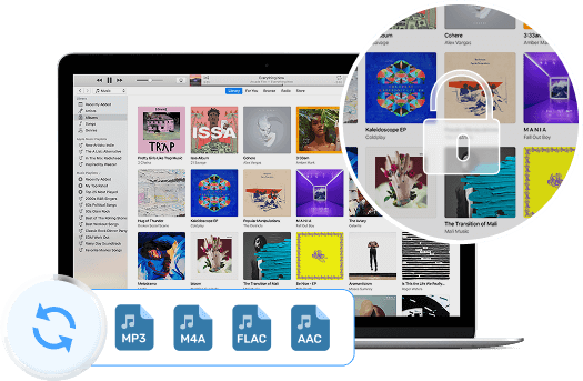 Converti la musica di iTunes in un formato comune