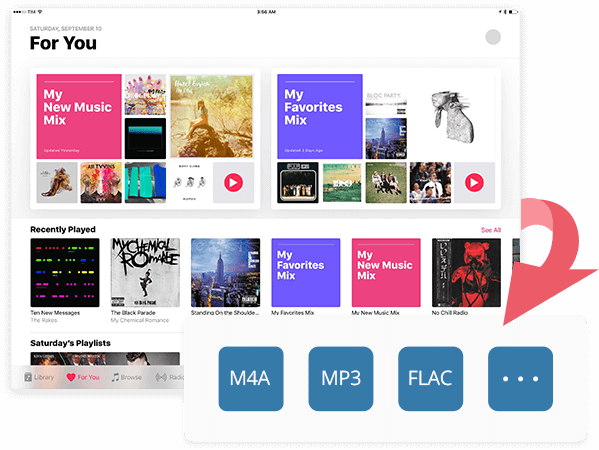 Rimozione DRM Apple Fair & Audible