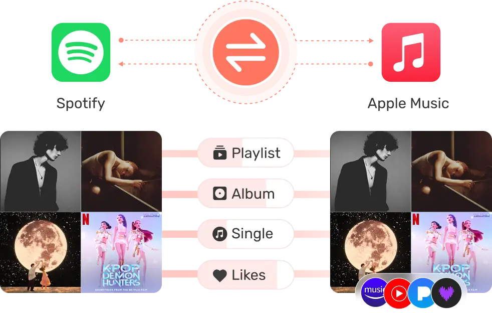 Transfer Playlists, Albums, or Single Tracks