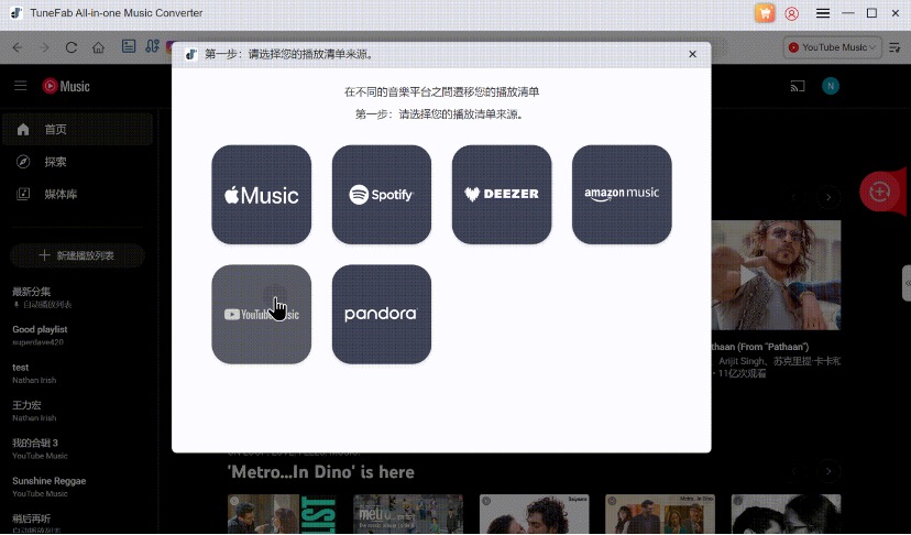 Select Source Music Service